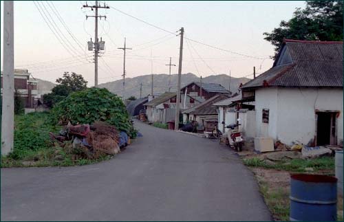 가을 남산포에서. 수많은 사람들이 저 길로 지나갔으리라. 